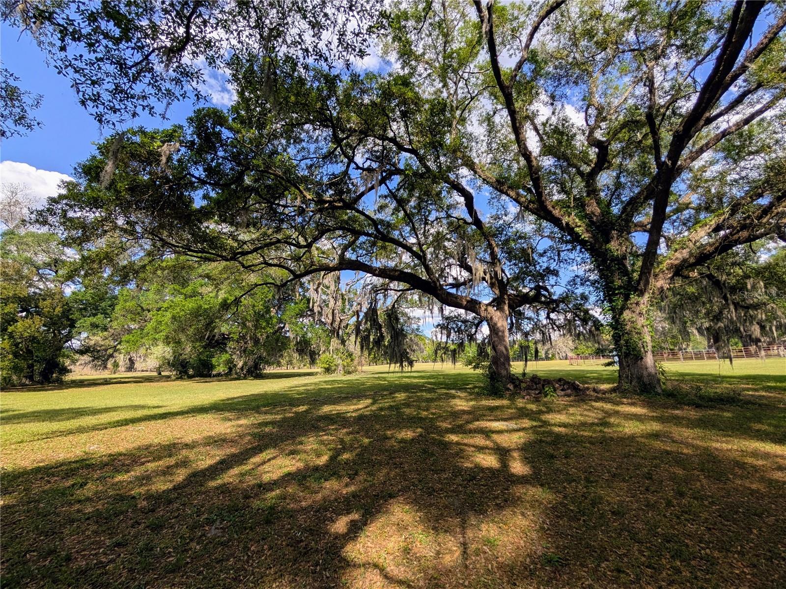21840 NW 218TH TER, HIGH SPRINGS, FL, 32643