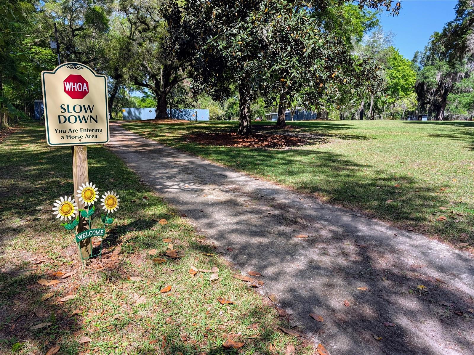 21840 NW 218TH TER, HIGH SPRINGS, FL, 32643