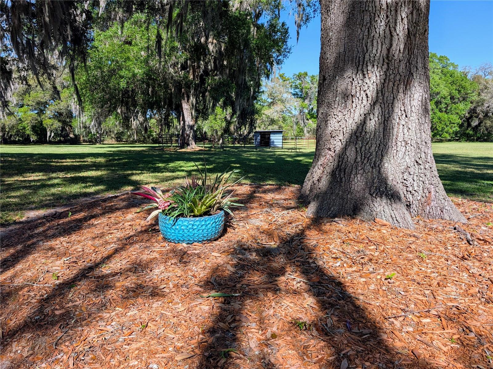 21840 NW 218TH TER, HIGH SPRINGS, FL, 32643