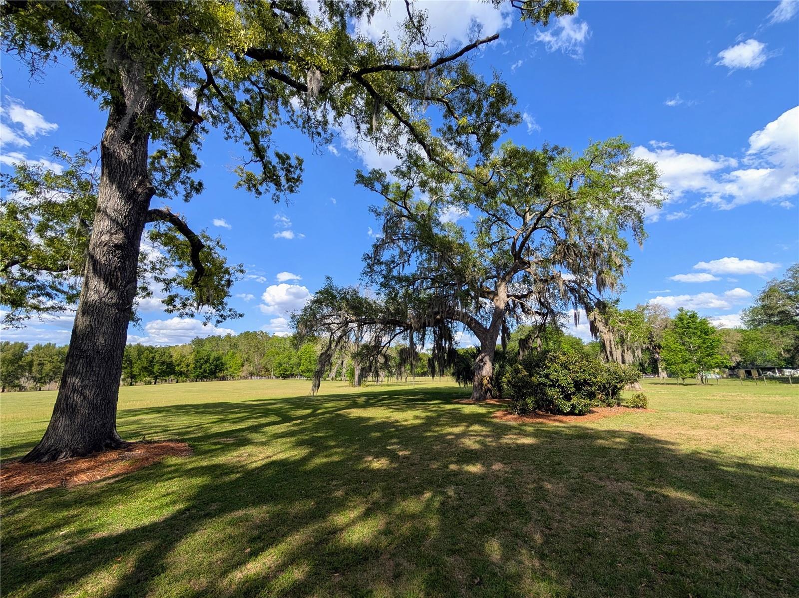 21840 NW 218TH TER, HIGH SPRINGS, FL, 32643