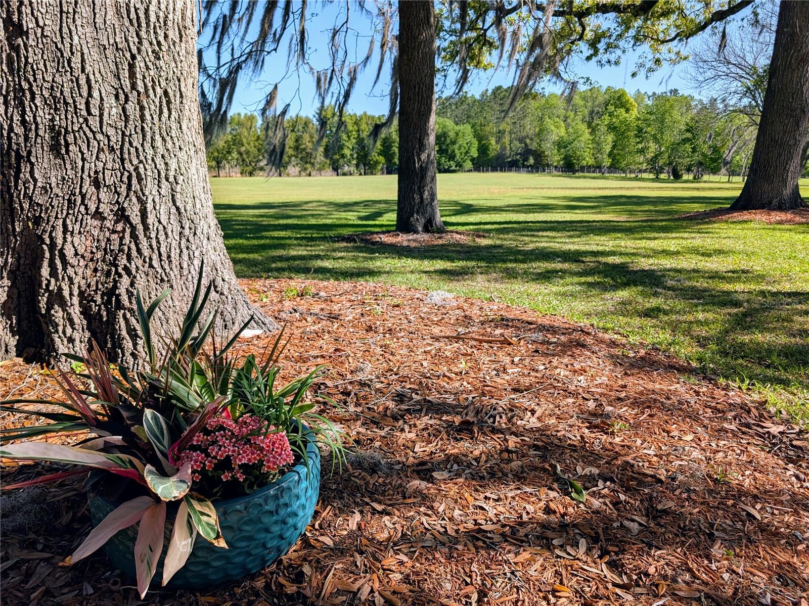 21840 NW 218TH TER, HIGH SPRINGS, FL, 32643