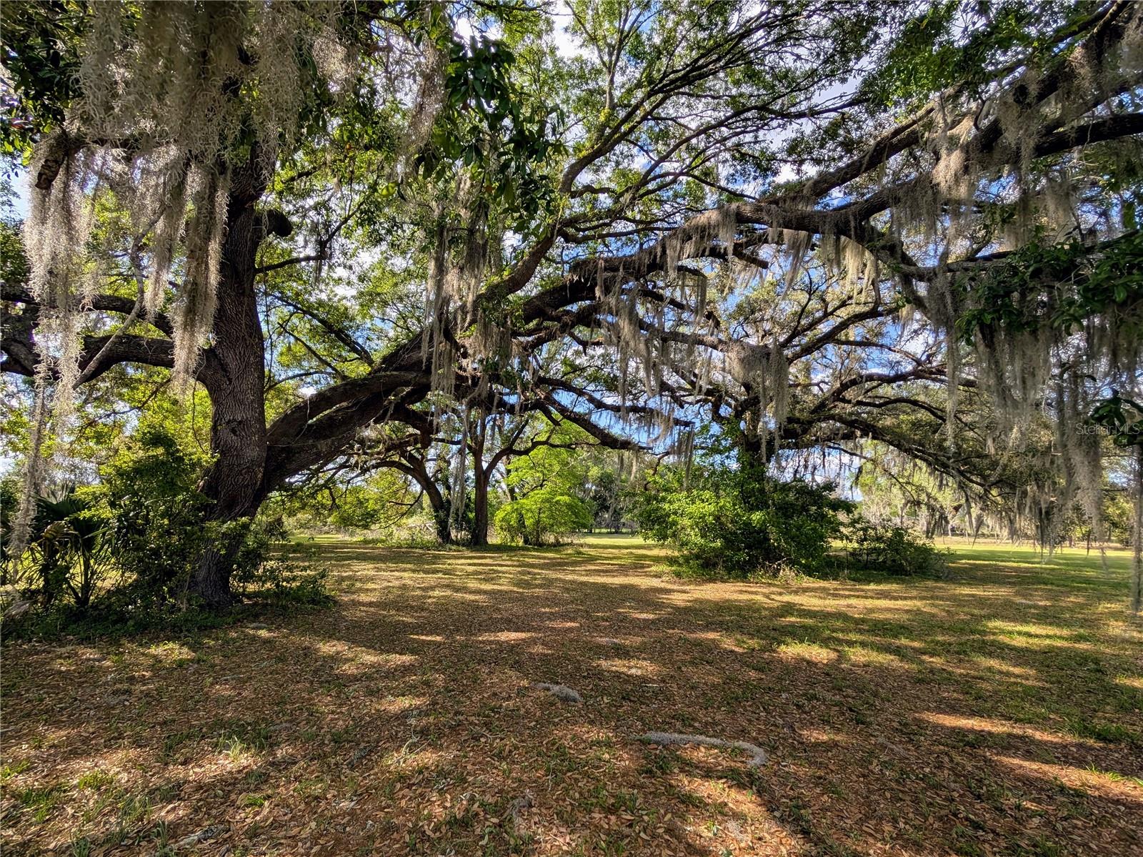 21840 NW 218TH TER, HIGH SPRINGS, FL, 32643
