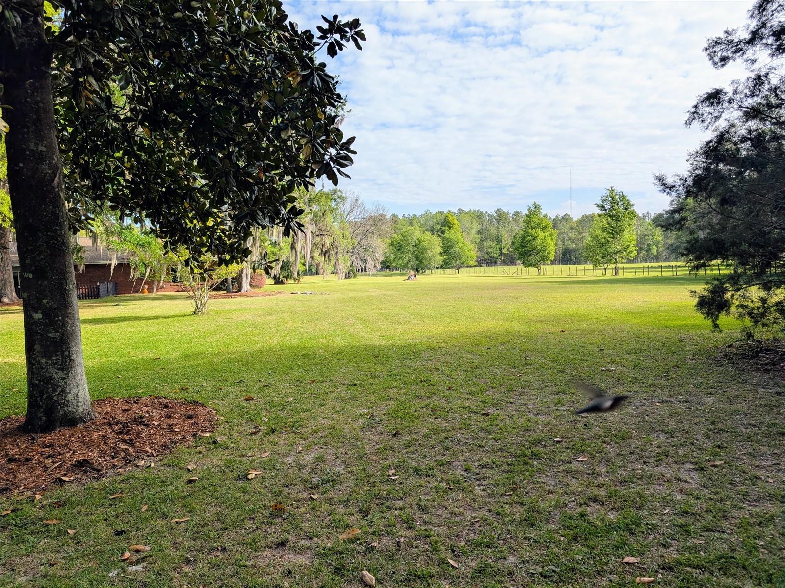 21840 NW 218TH TER, HIGH SPRINGS, FL, 32643