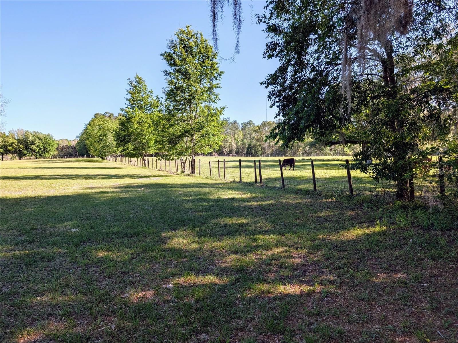 21840 NW 218TH TER, HIGH SPRINGS, FL, 32643