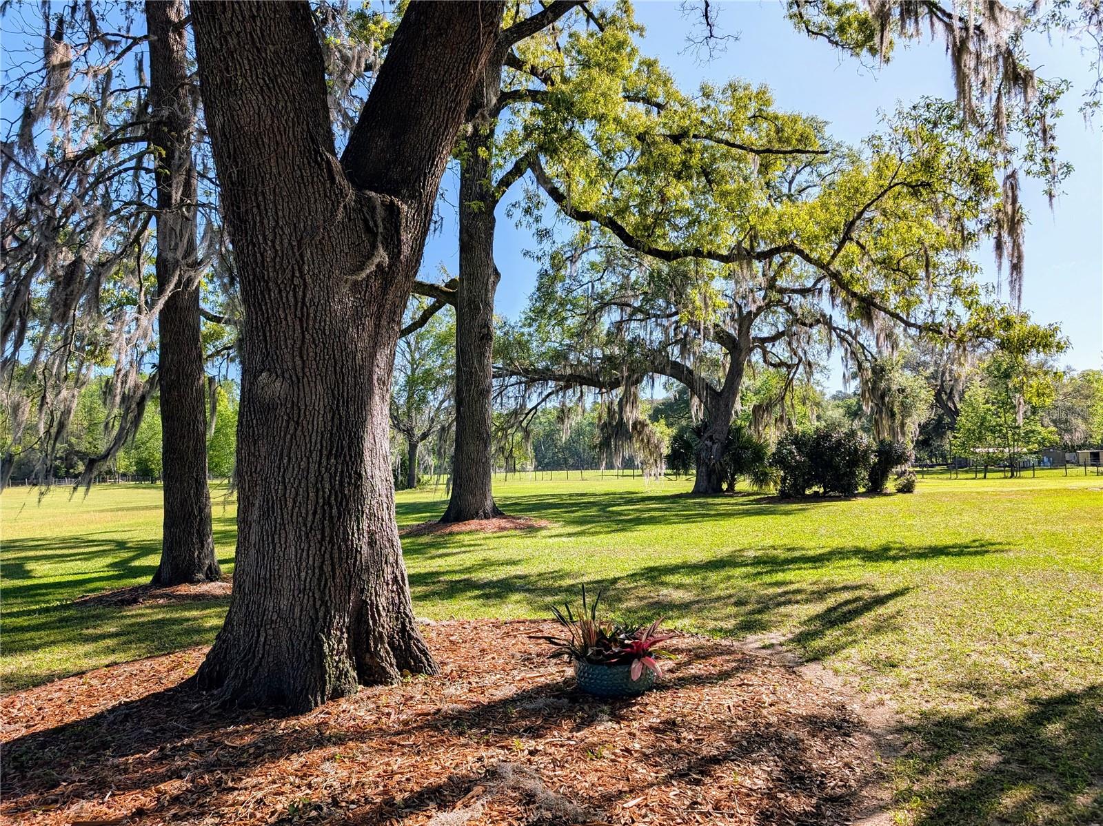 21840 NW 218TH TER, HIGH SPRINGS, FL, 32643