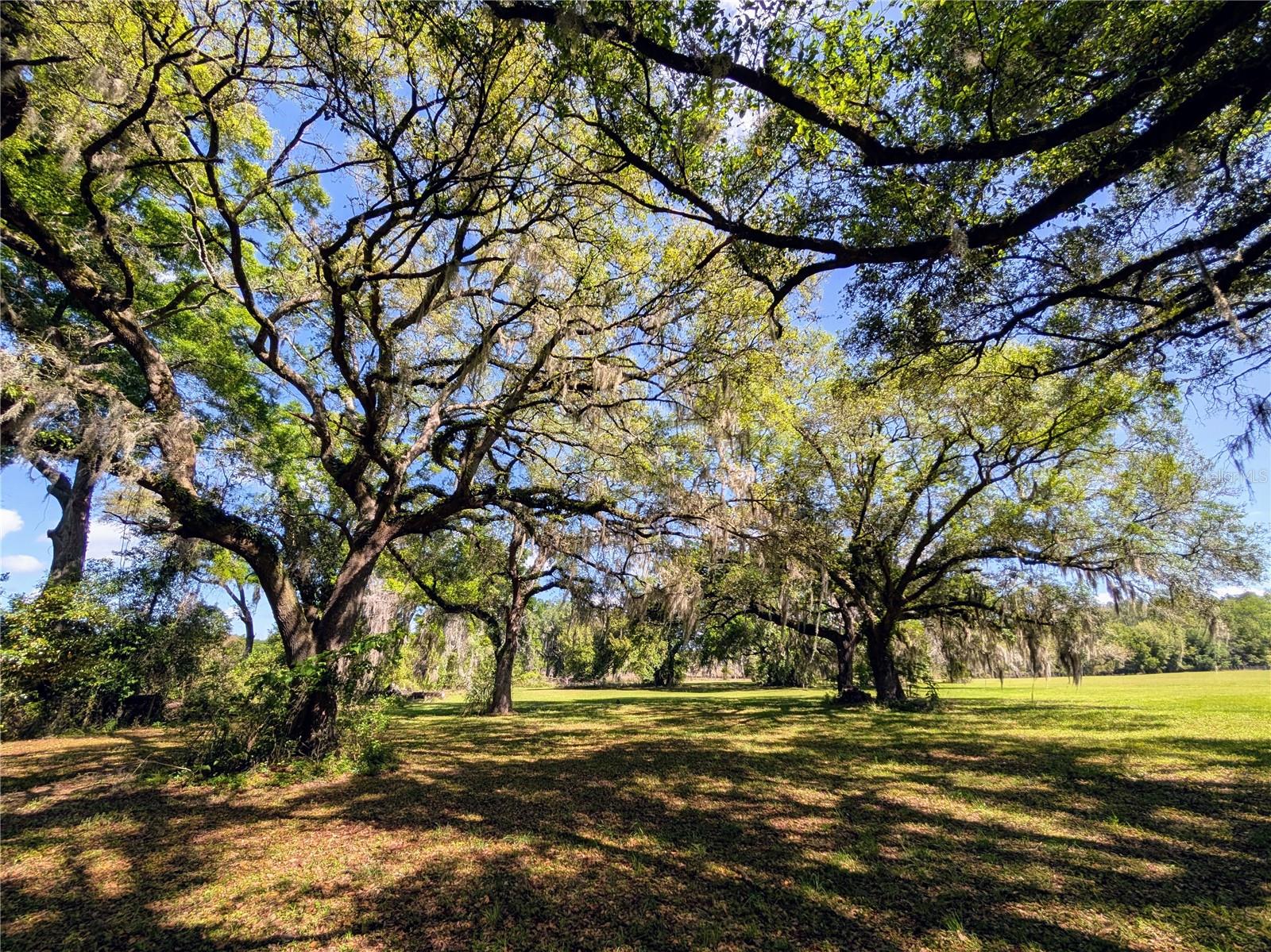 21840 NW 218TH TER, HIGH SPRINGS, FL, 32643
