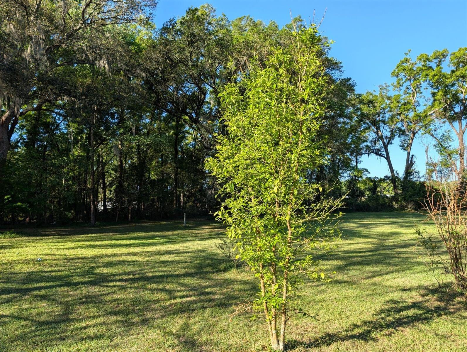 21840 NW 218TH TER, HIGH SPRINGS, FL, 32643