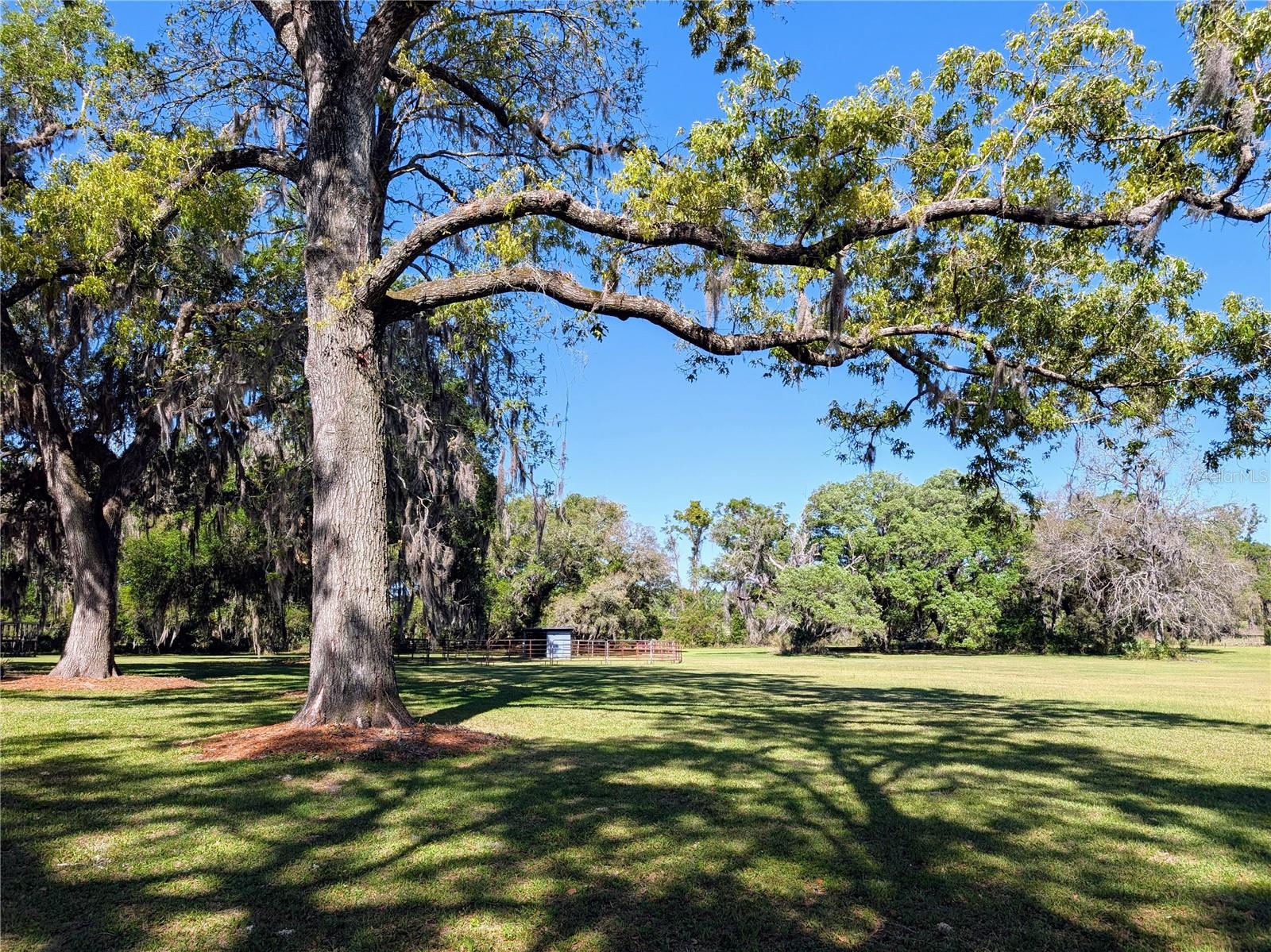 21840 NW 218TH TER, HIGH SPRINGS, FL, 32643