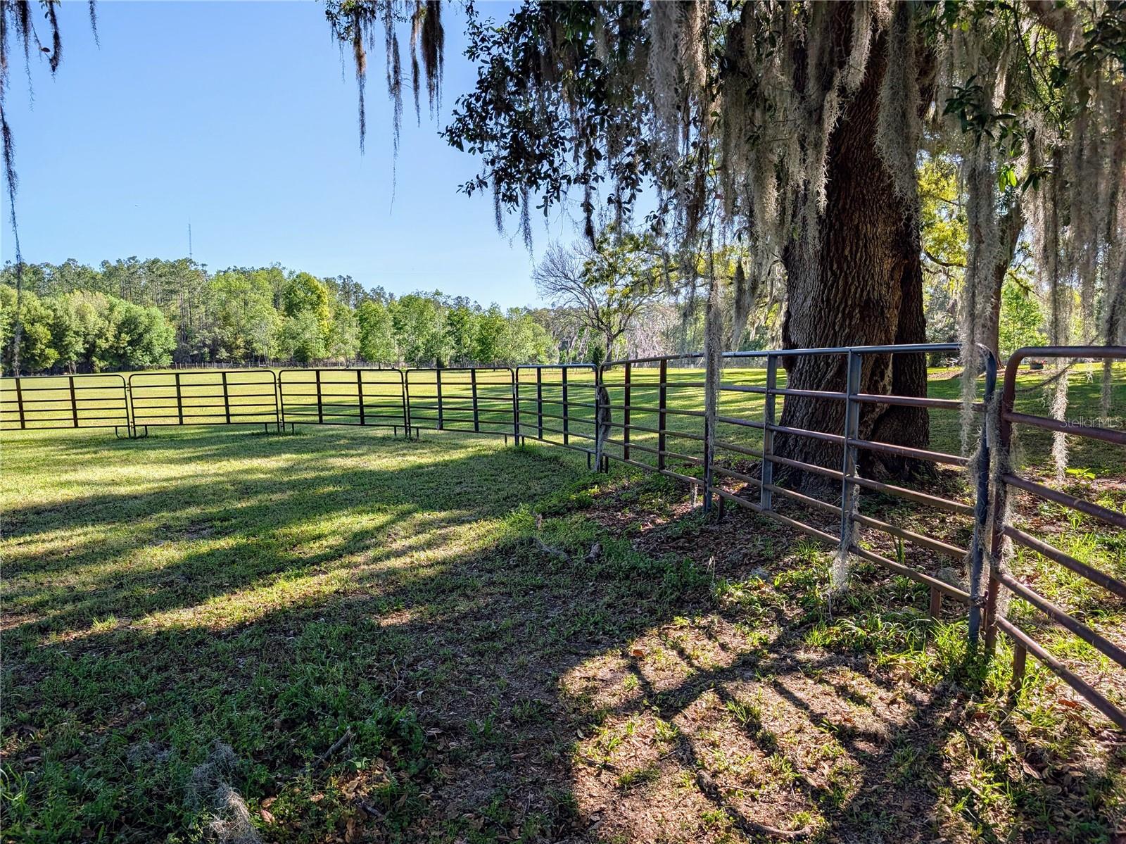 21840 NW 218TH TER, HIGH SPRINGS, FL, 32643