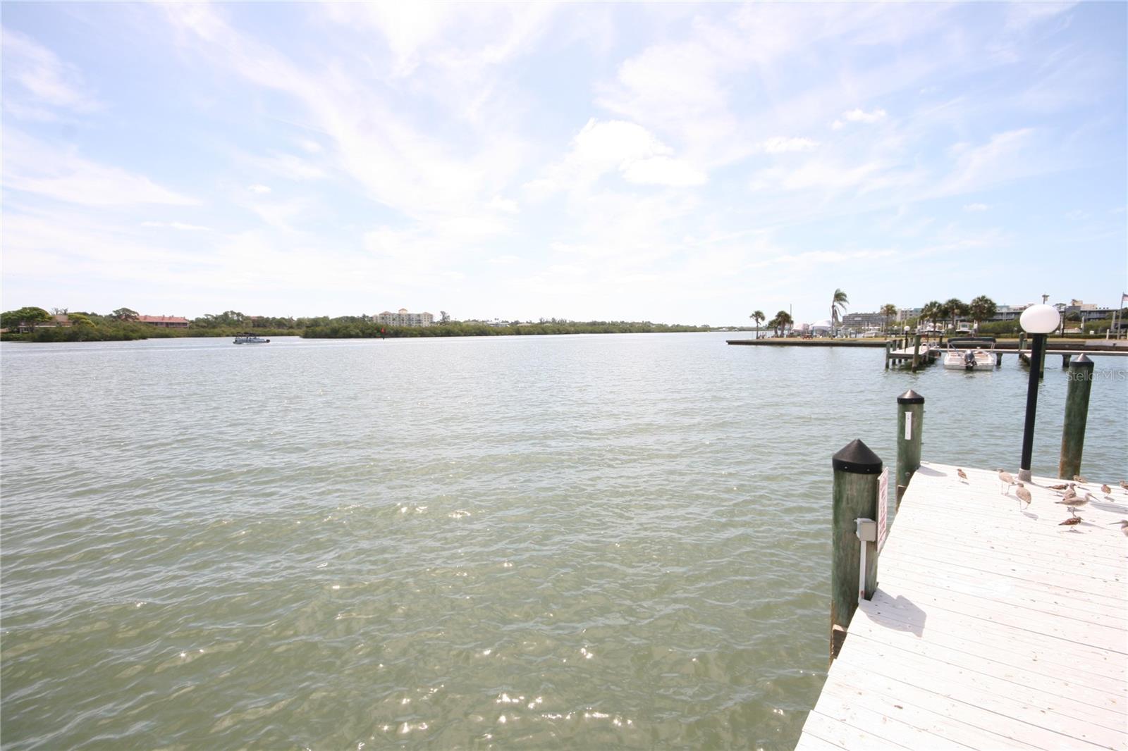 19701 GULF BLVD #212, INDIAN SHORES, FL, 33785