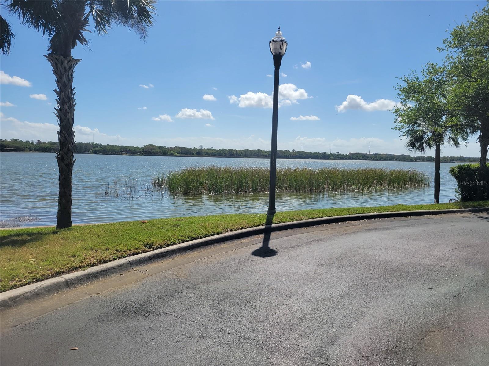 7905 N SEMINOLE BLVD #3404, SEMINOLE, FL, 33772
