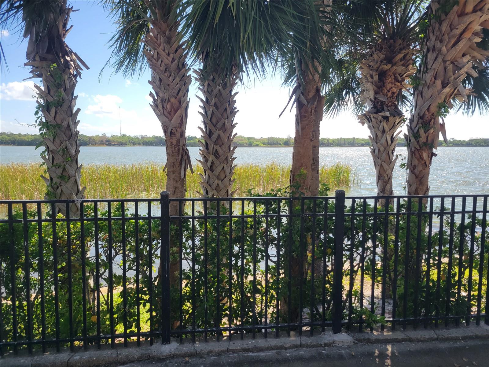 7905 N SEMINOLE BLVD #3404, SEMINOLE, FL, 33772