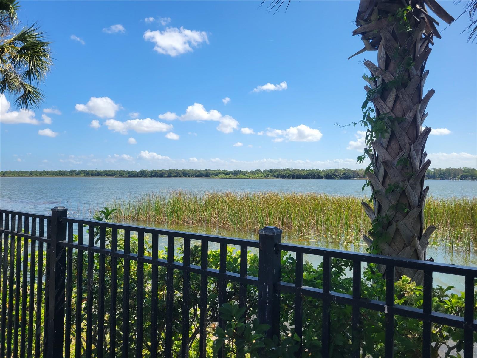7905 N SEMINOLE BLVD #3404, SEMINOLE, FL, 33772