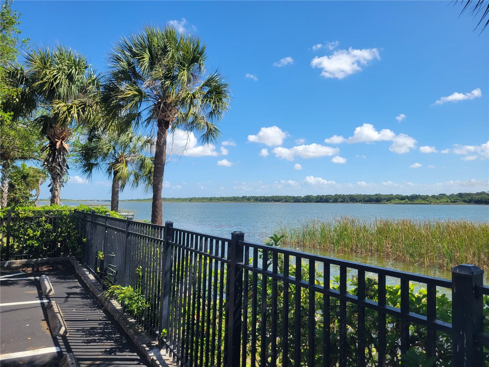 7905 N SEMINOLE BLVD #3404, SEMINOLE, FL, 33772