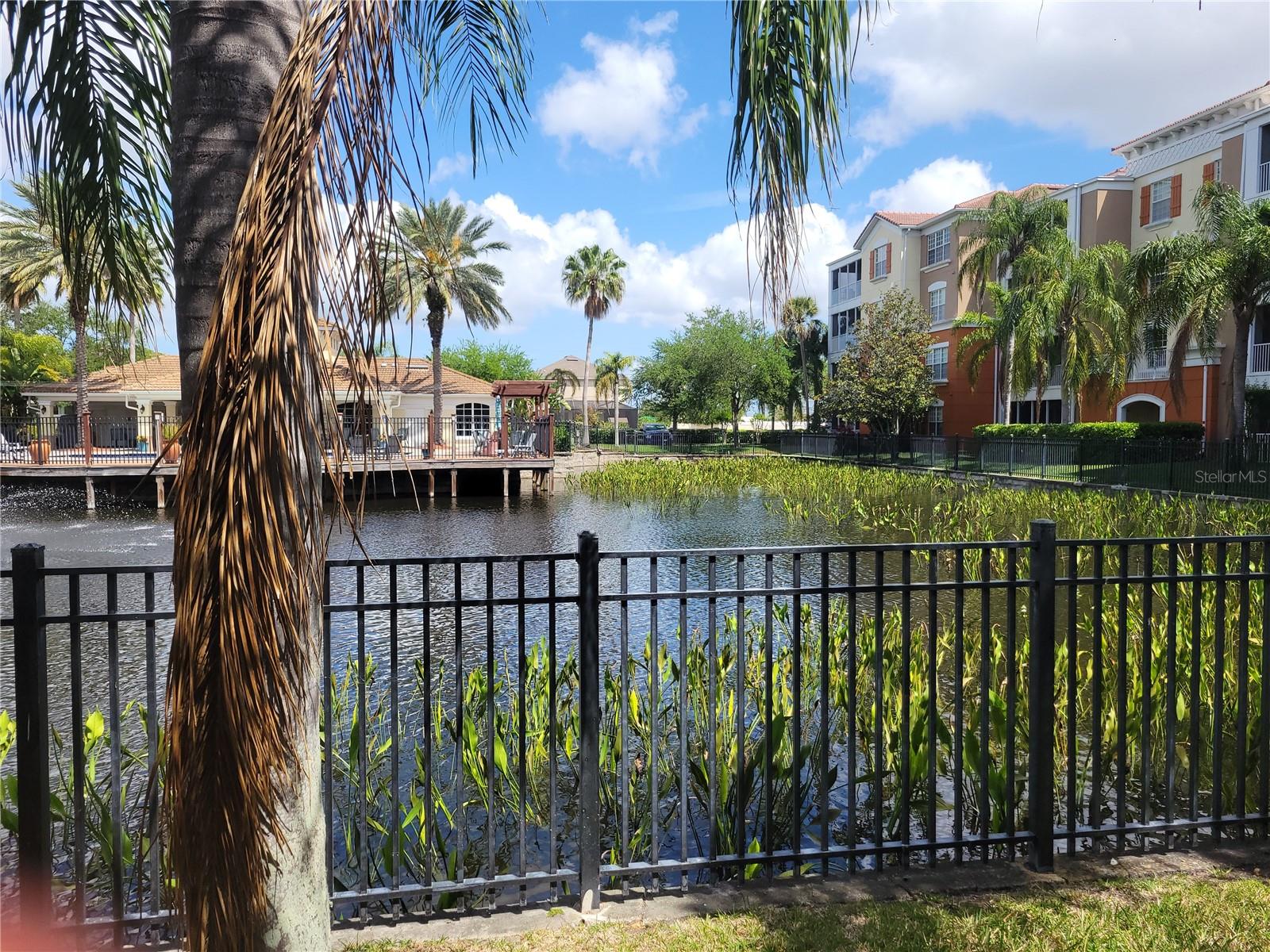 7905 N SEMINOLE BLVD #3404, SEMINOLE, FL, 33772