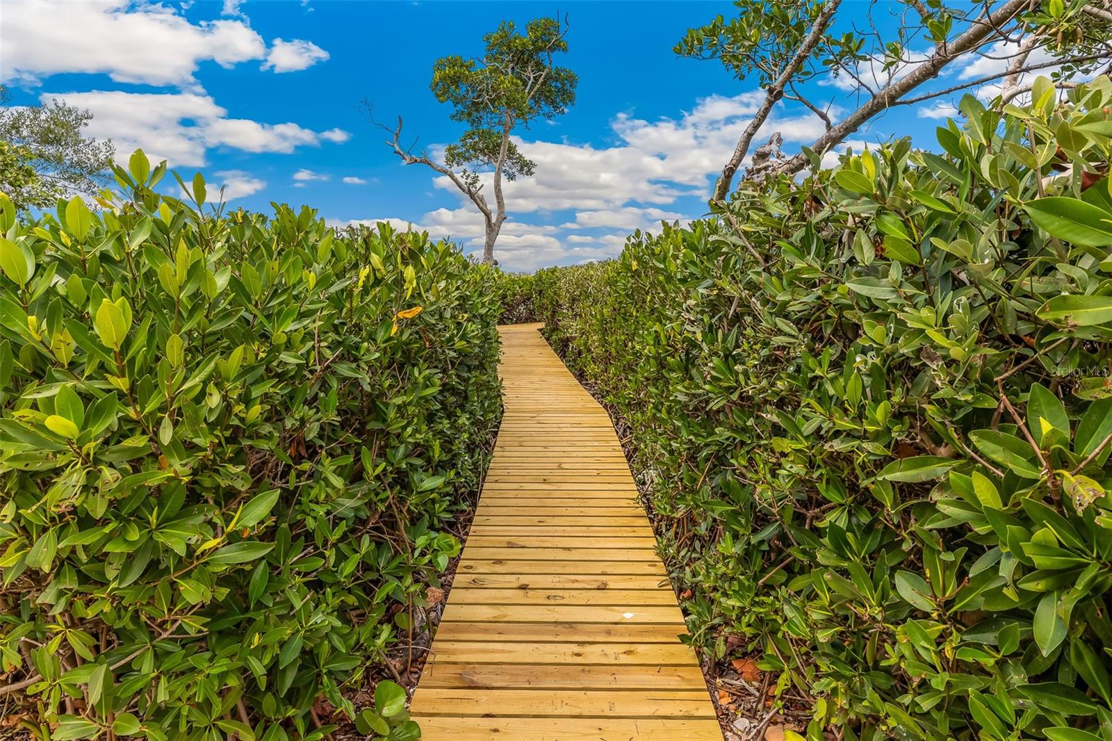 1671 JOSE GASPAR DR, BOCA GRANDE, FL, 33921