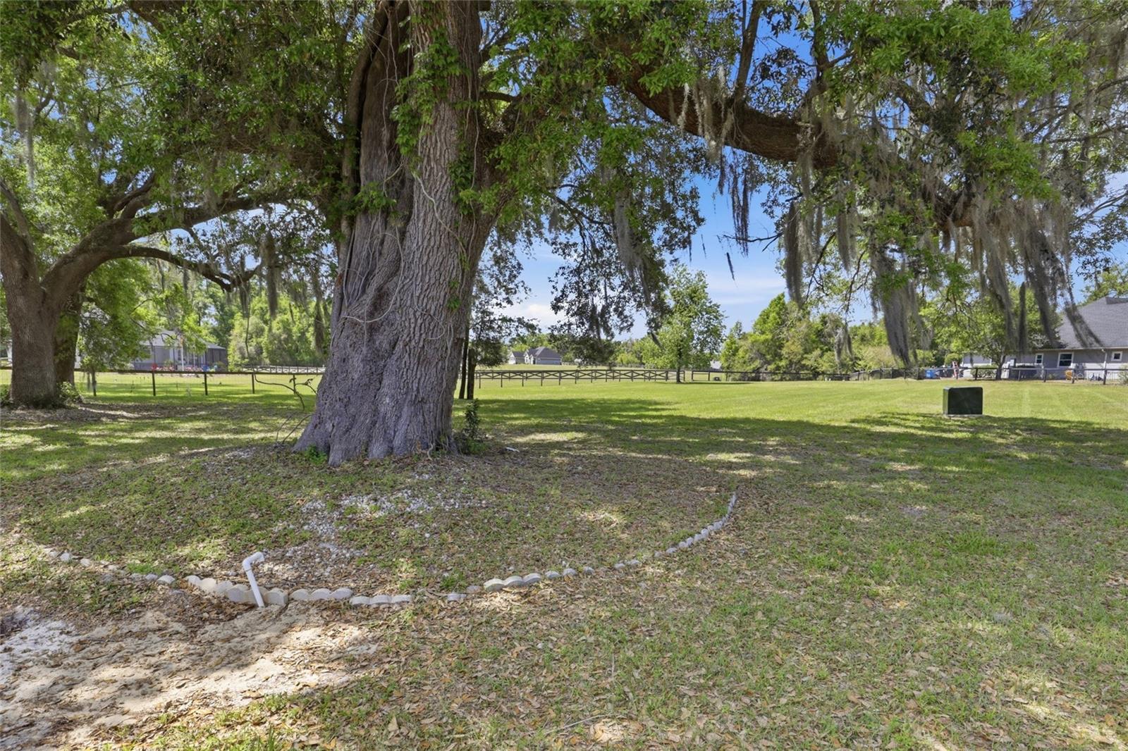 17256 NW 250TH WAY, HIGH SPRINGS, FL, 32643