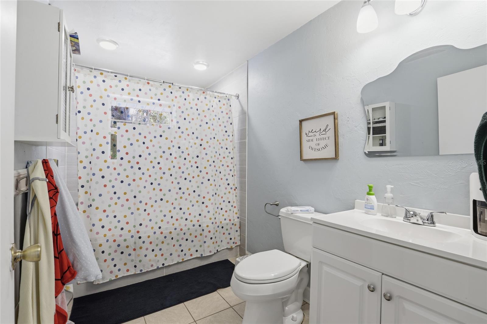 17256 NW 250TH WAY, HIGH SPRINGS, FL, 32643