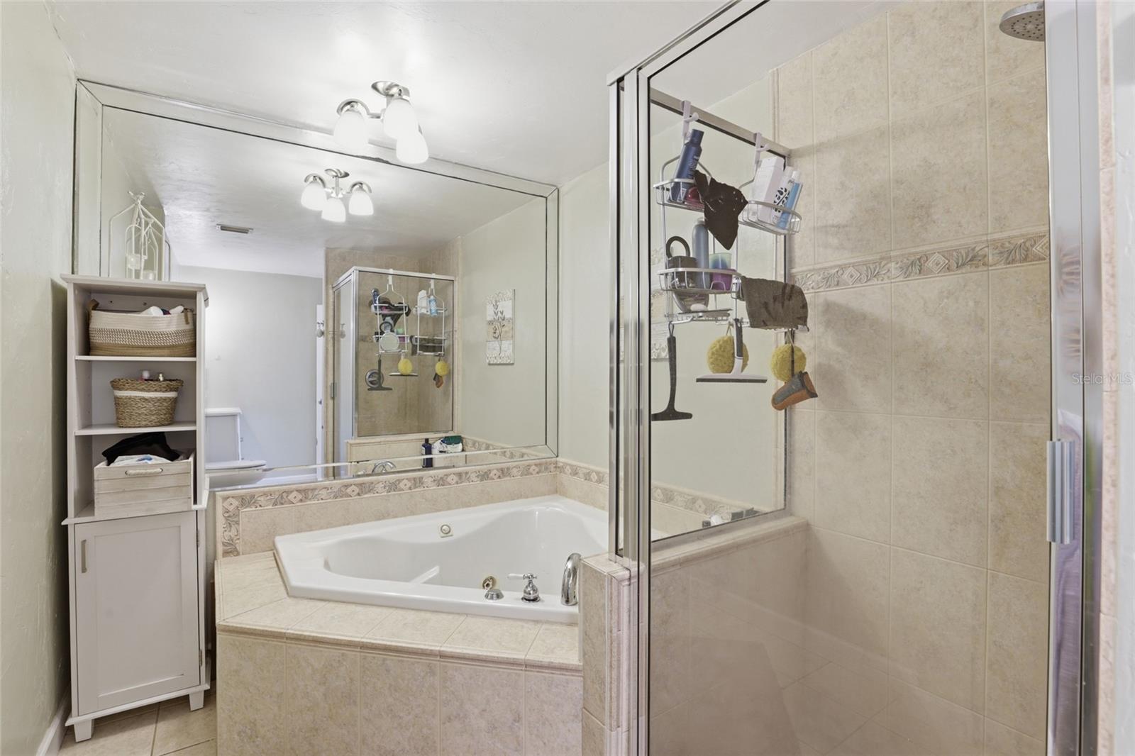 17256 NW 250TH WAY, HIGH SPRINGS, FL, 32643
