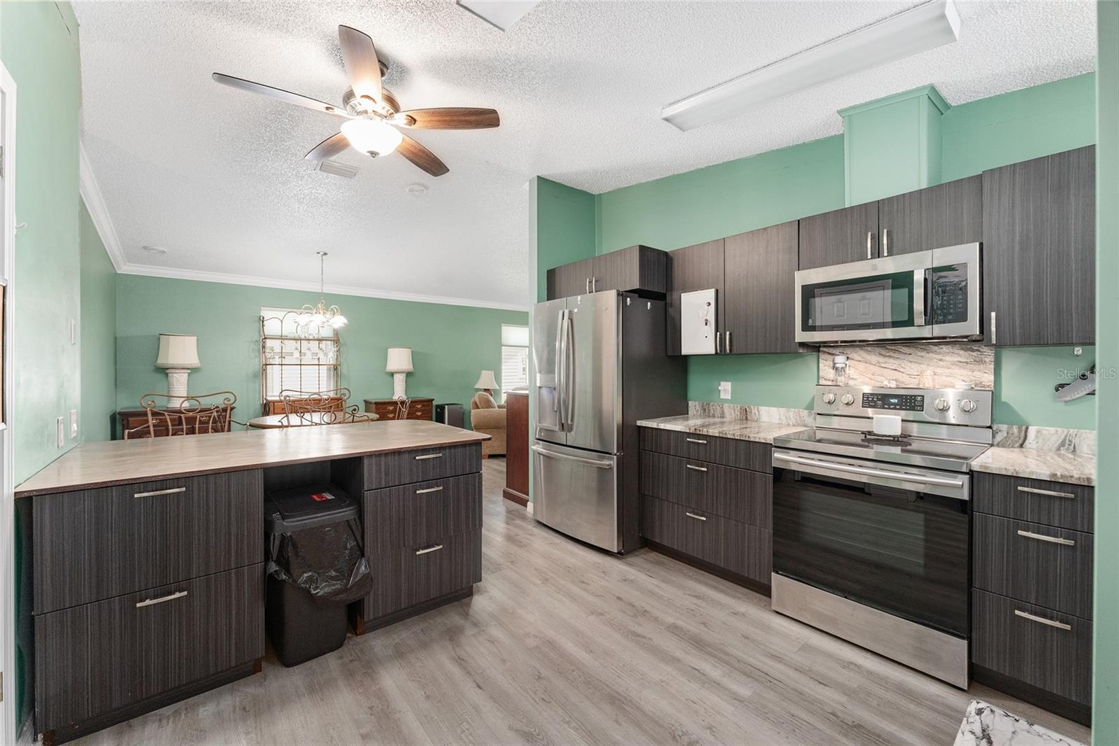 1401 W SCHWARTZ BLVD, LADY LAKE, FL, 32159