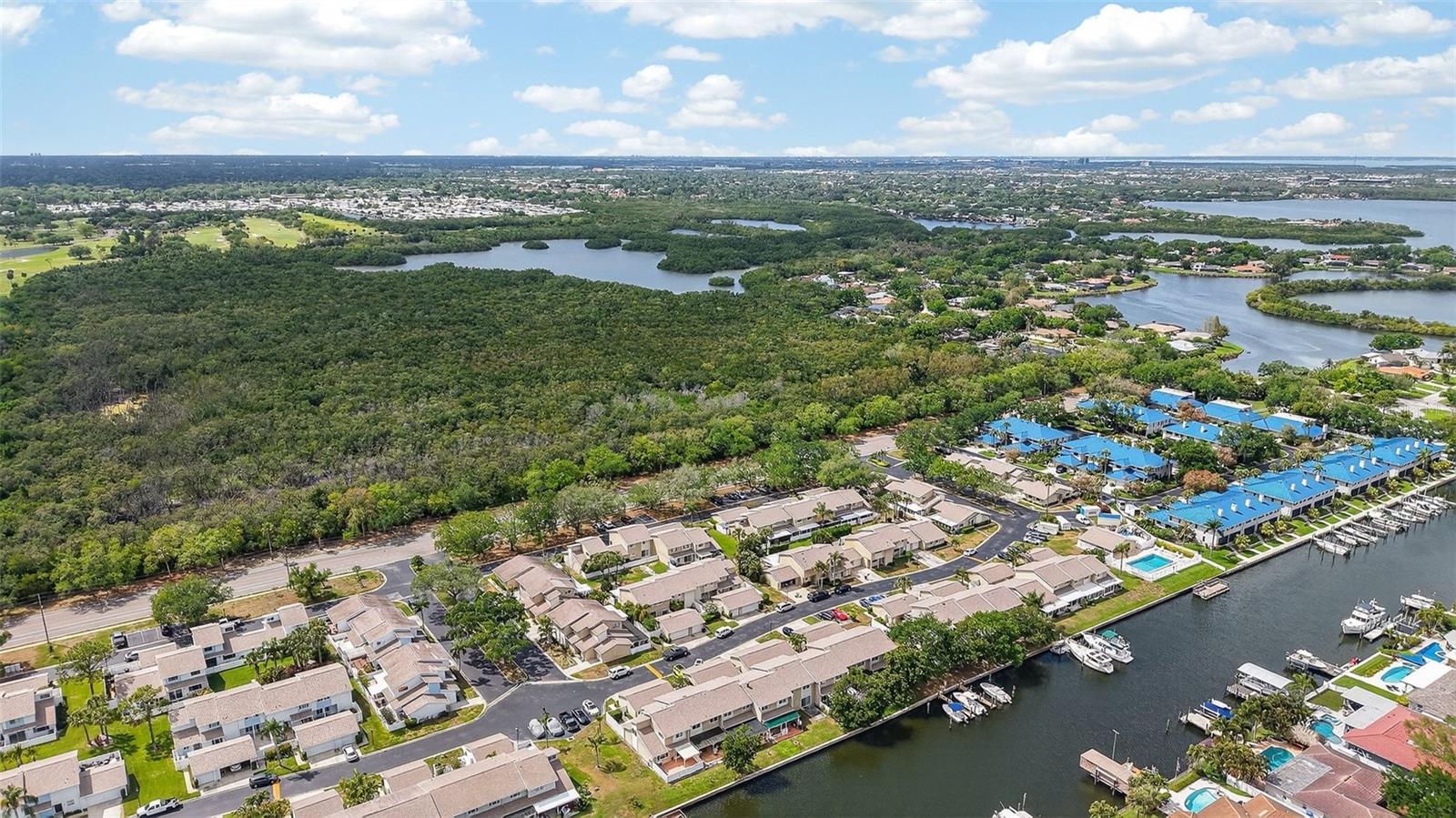 6660 CAPE HATTERAS WAY NE #1, ST PETERSBURG, FL, 33702
