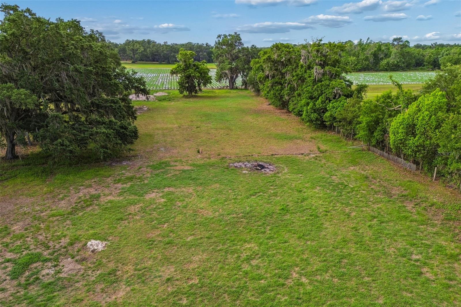 3005 W SAM ALLEN RD, PLANT CITY, FL, 33565