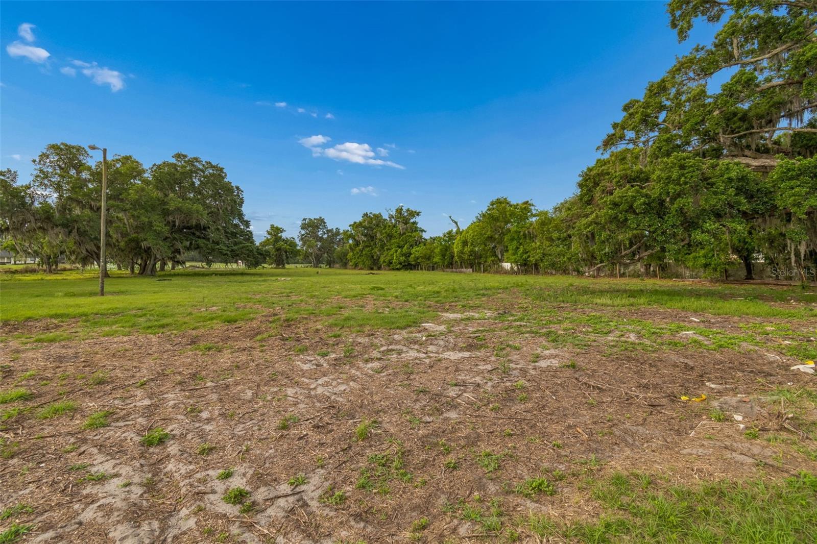 3005 W SAM ALLEN RD, PLANT CITY, FL, 33565