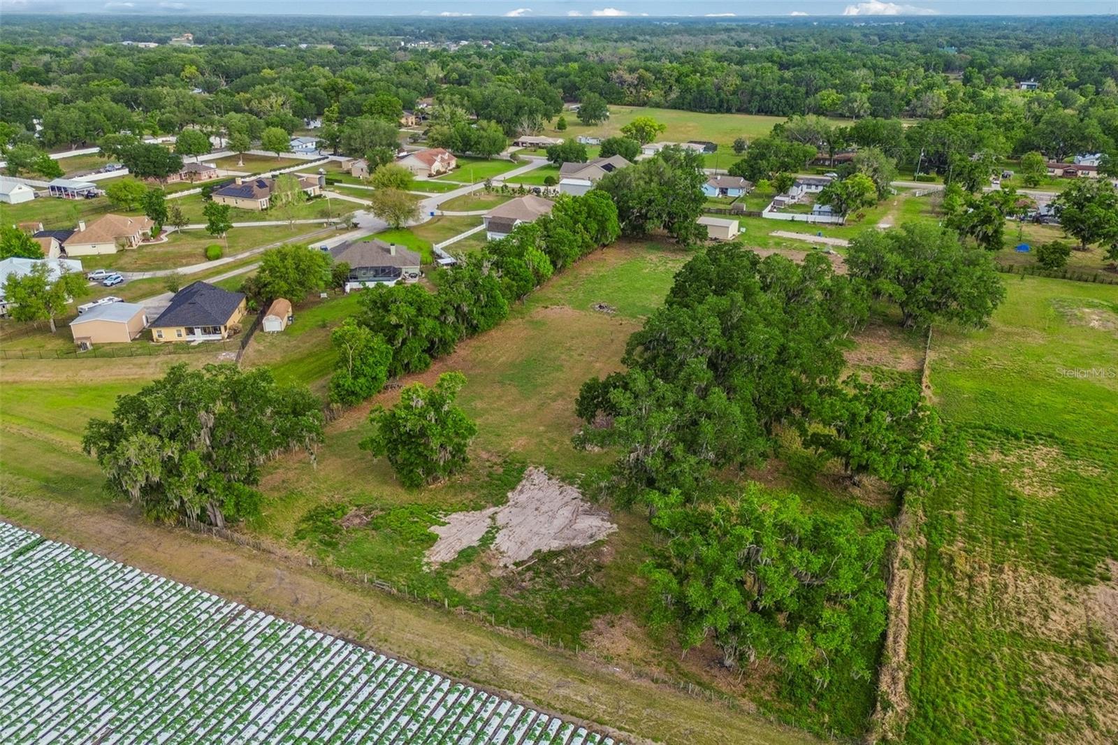 3005 W SAM ALLEN RD, PLANT CITY, FL, 33565