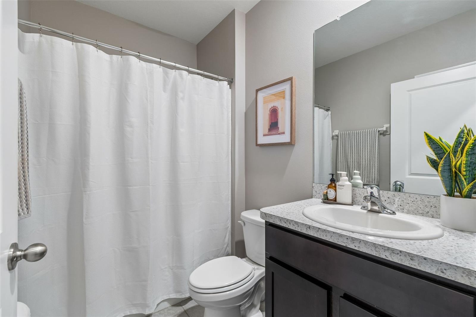3012 PINK PEACOCK LN, ODESSA, FL, 33556