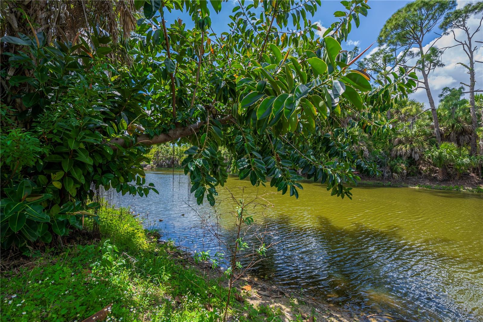 1609 HARMONY DR, PORT CHARLOTTE, FL, 33952