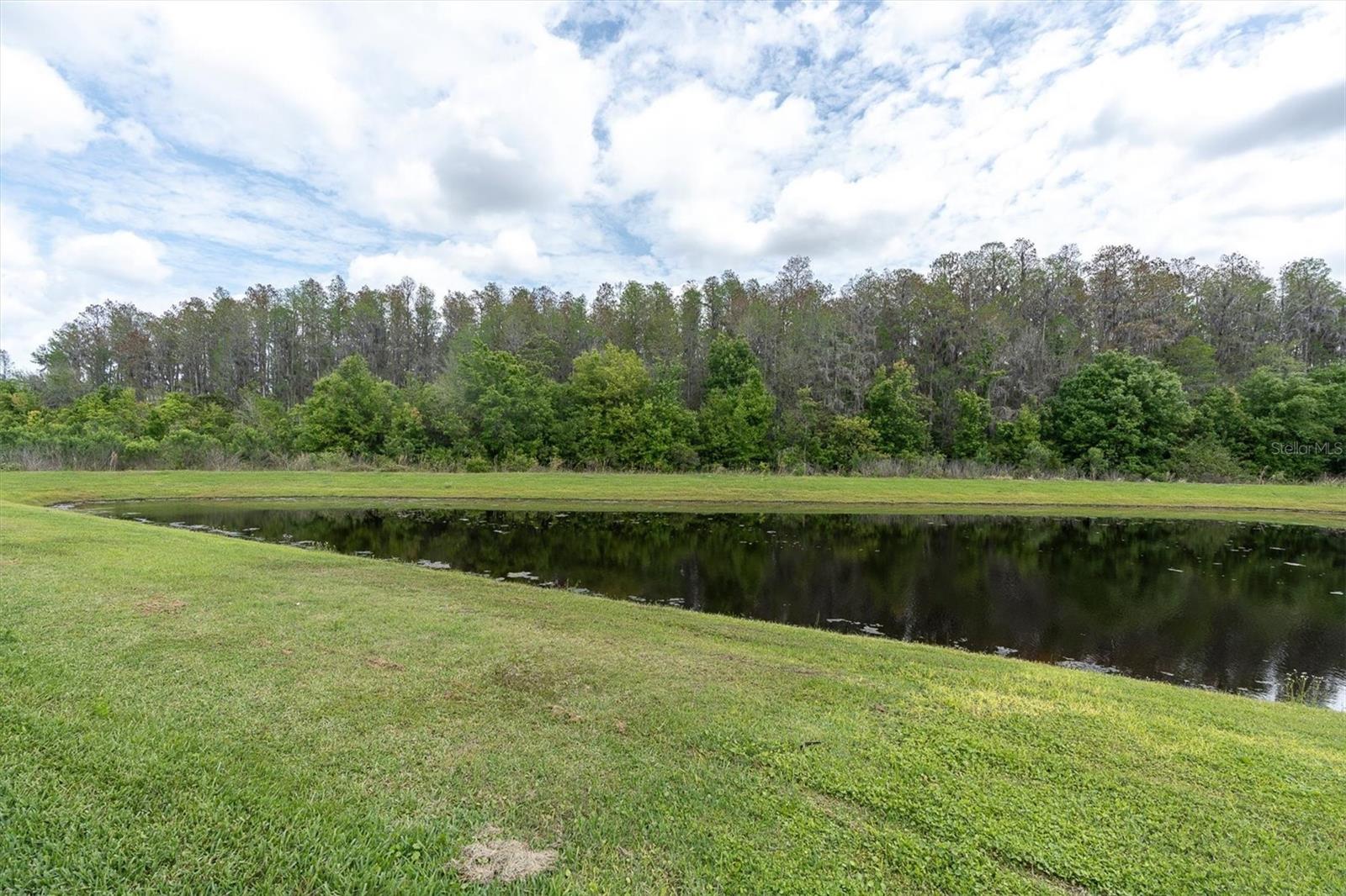2832 LILLA TRL, ODESSA, FL, 33556