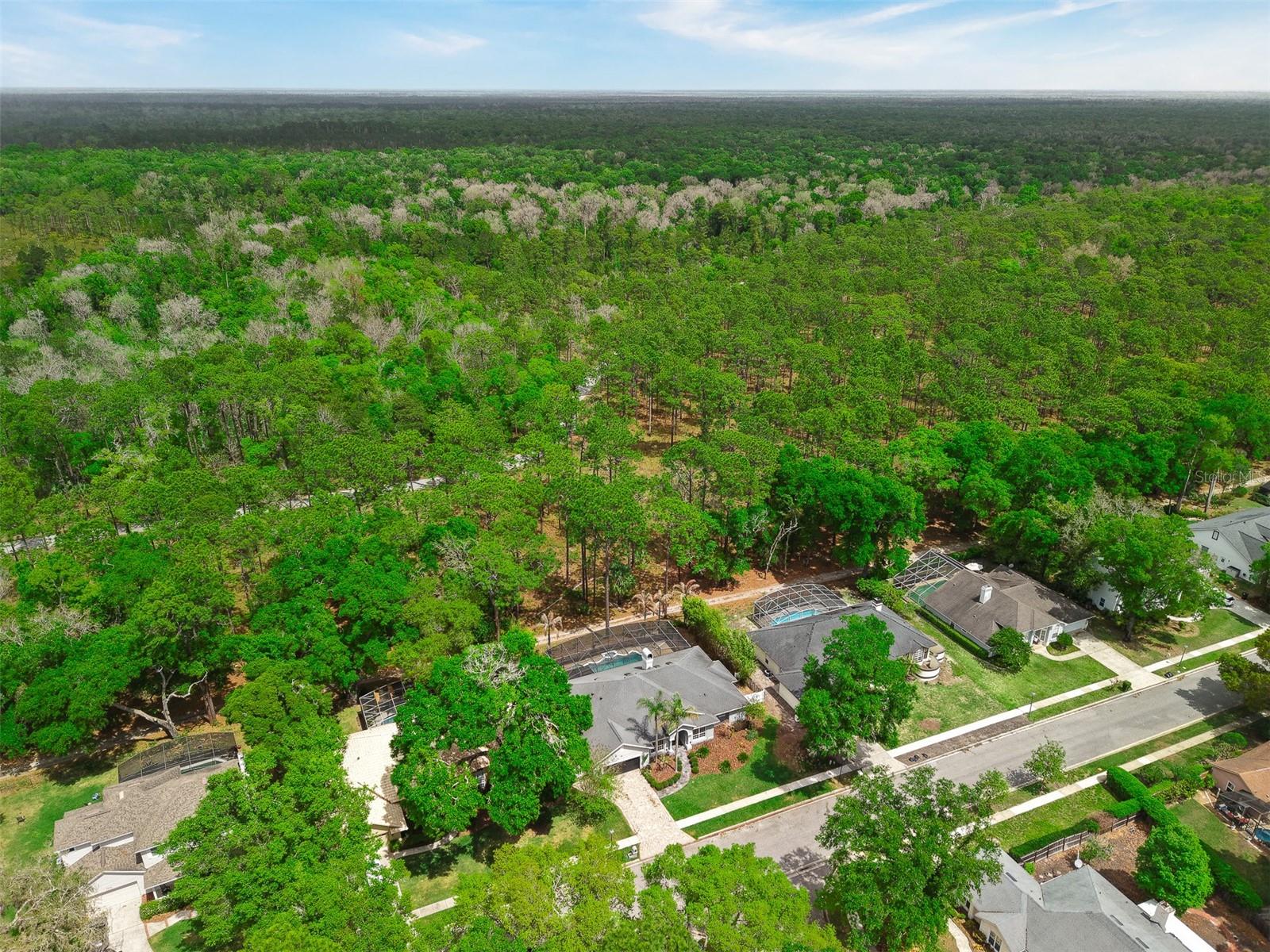2305 PARK VILLAGE PL, APOPKA, FL, 32712