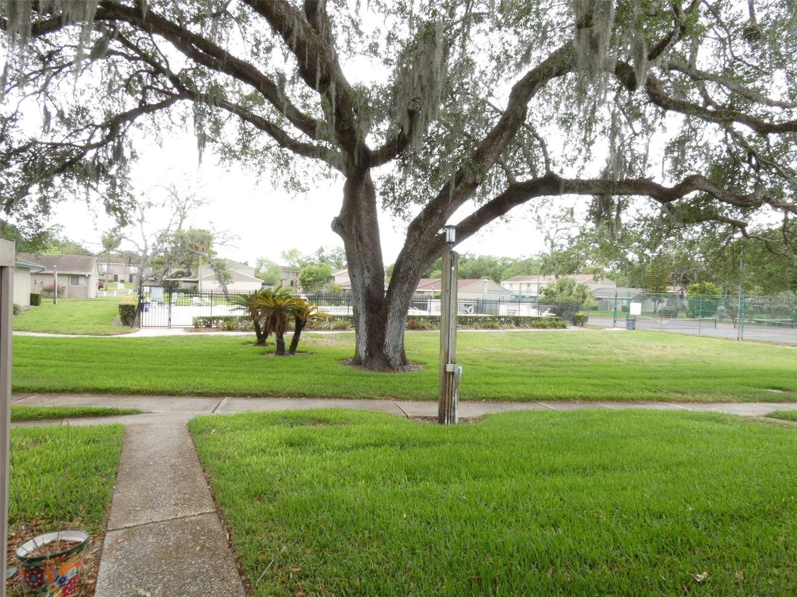 front door view to pool