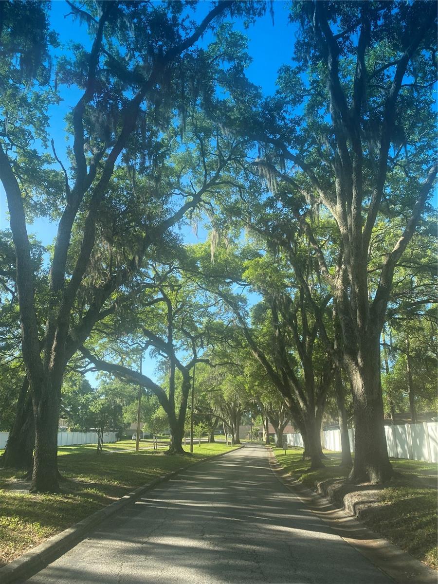 oak lined community entry