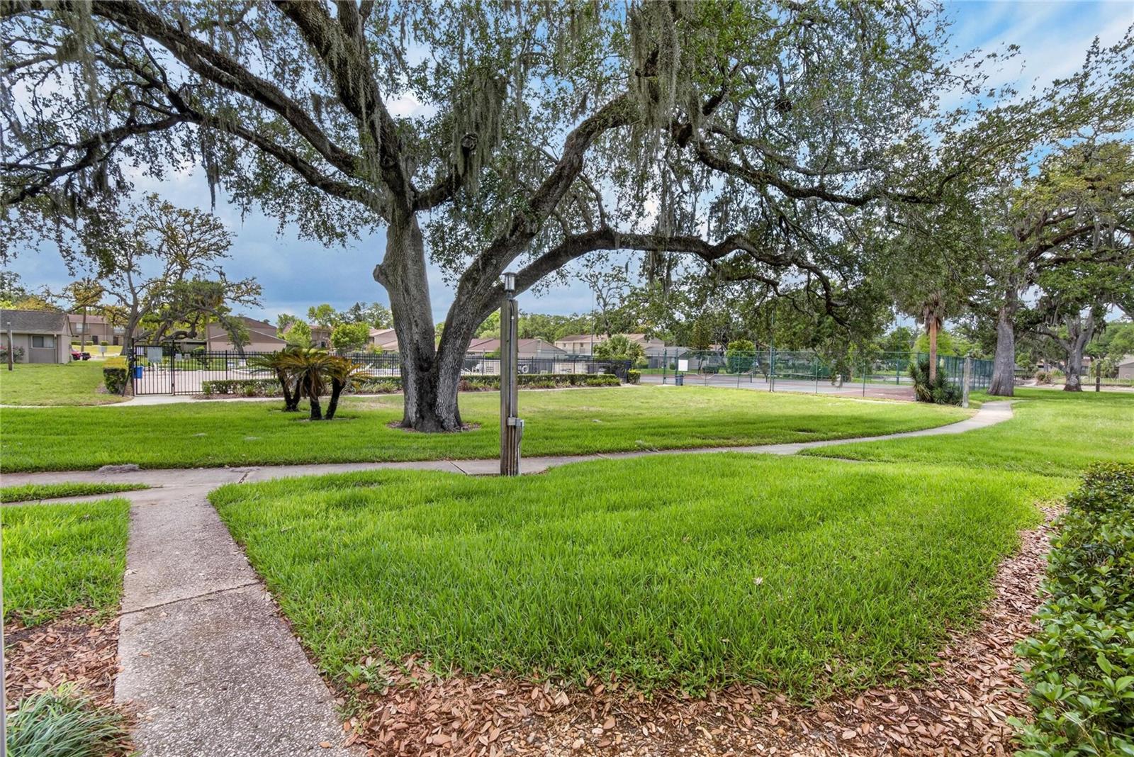 7933 PINE DR #37, TEMPLE TERRACE, FL, 33637