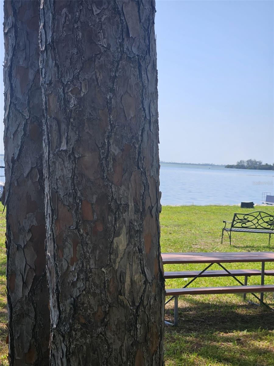 2700 BAYSHORE BLVD #2B, DUNEDIN, FL, 34698