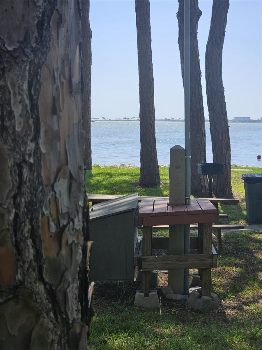 2700 BAYSHORE BLVD #2B, DUNEDIN, FL, 34698