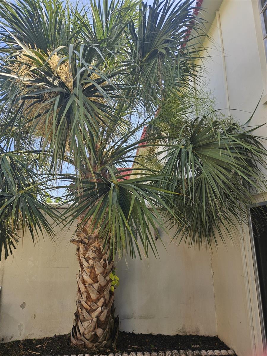 2700 BAYSHORE BLVD #2B, DUNEDIN, FL, 34698
