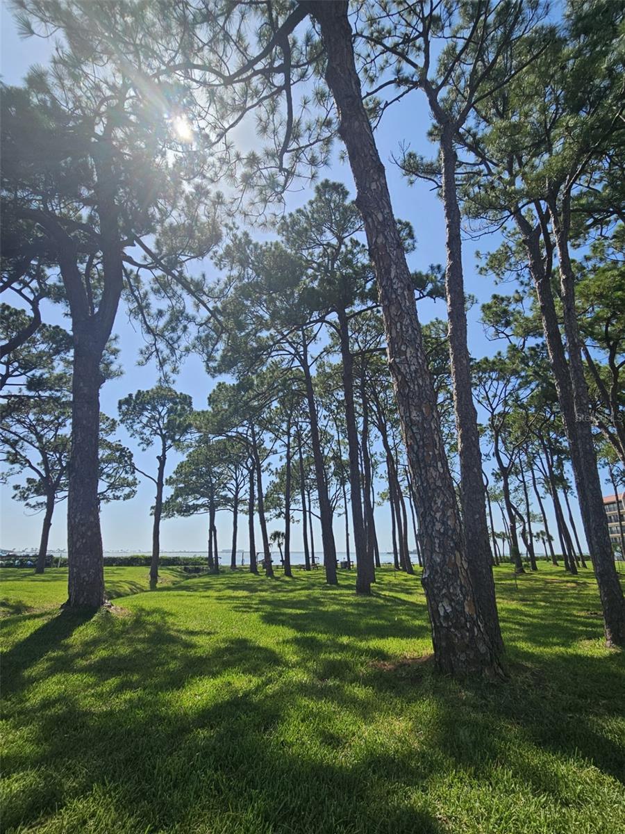 2700 BAYSHORE BLVD #2B, DUNEDIN, FL, 34698