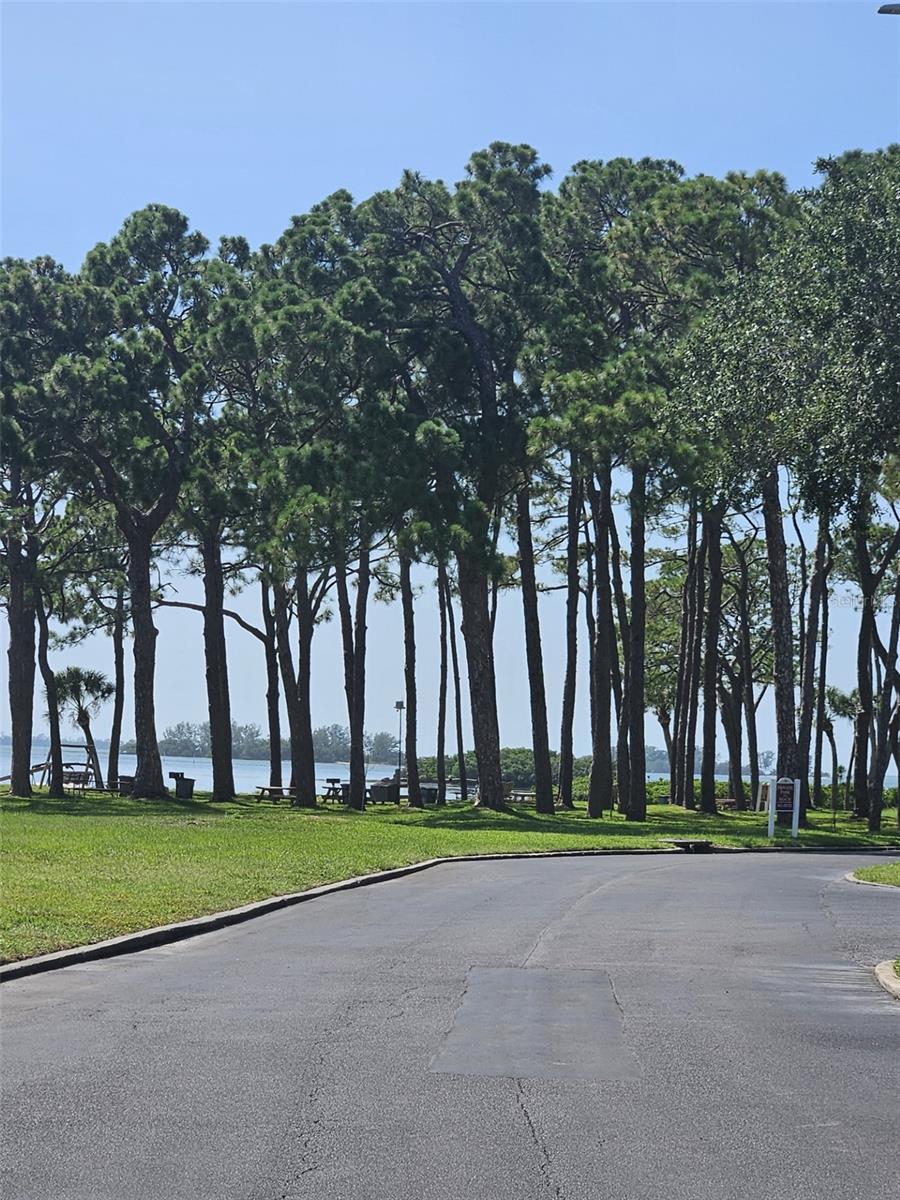 2700 BAYSHORE BLVD #2B, DUNEDIN, FL, 34698
