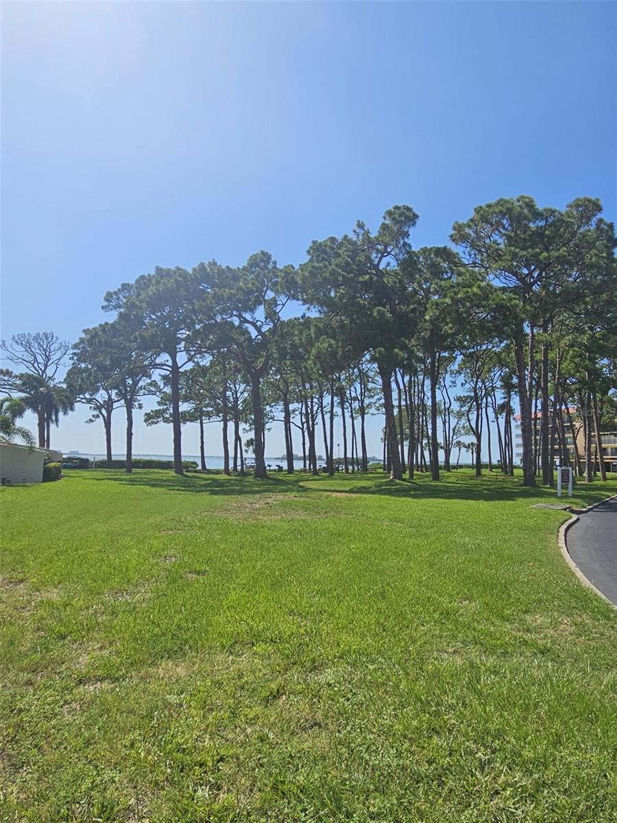 2700 BAYSHORE BLVD #2B, DUNEDIN, FL, 34698