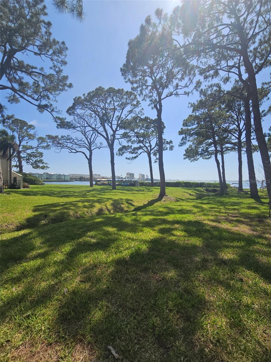 2700 BAYSHORE BLVD #2B, DUNEDIN, FL, 34698