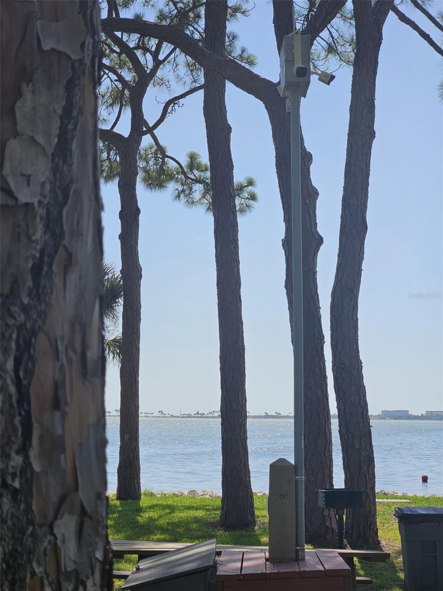 2700 BAYSHORE BLVD #2B, DUNEDIN, FL, 34698