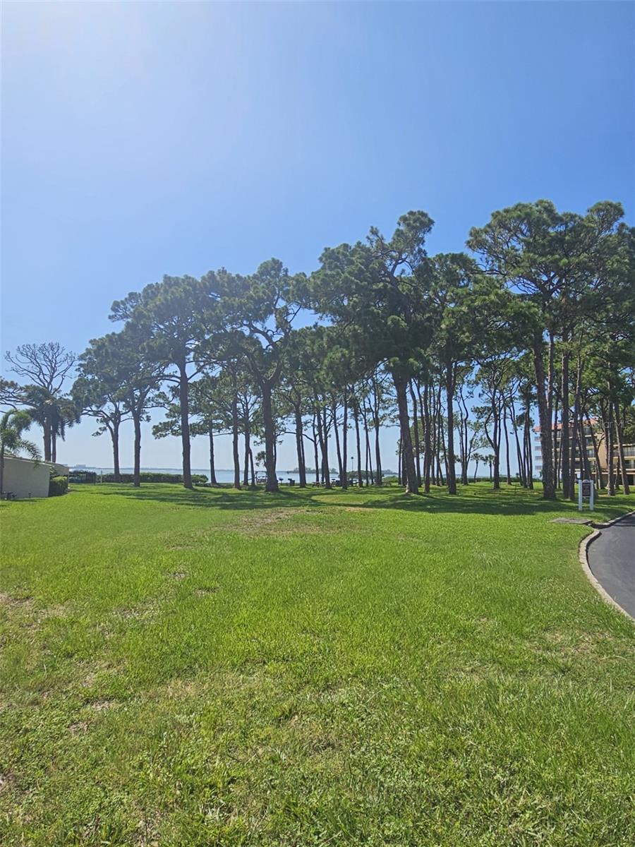 2700 BAYSHORE BLVD #2B, DUNEDIN, FL, 34698