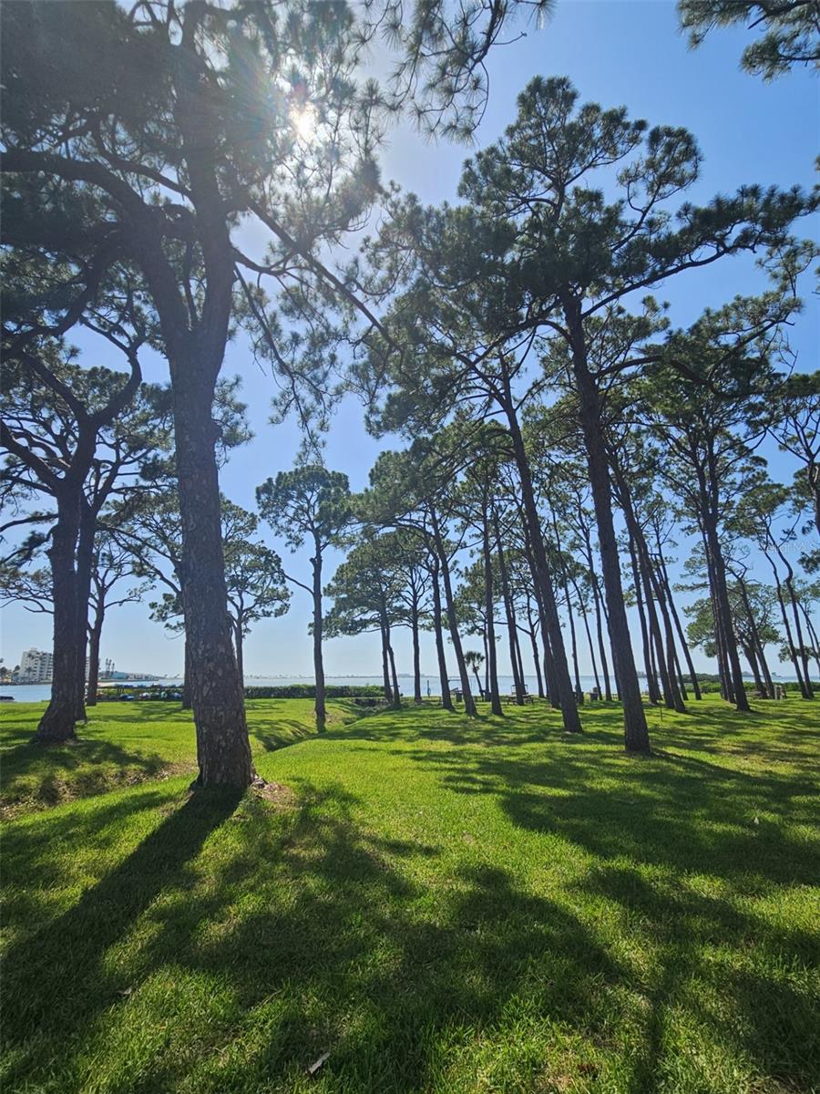 2700 BAYSHORE BLVD #2B, DUNEDIN, FL, 34698