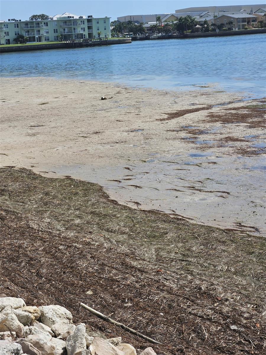 2700 BAYSHORE BLVD #2B, DUNEDIN, FL, 34698