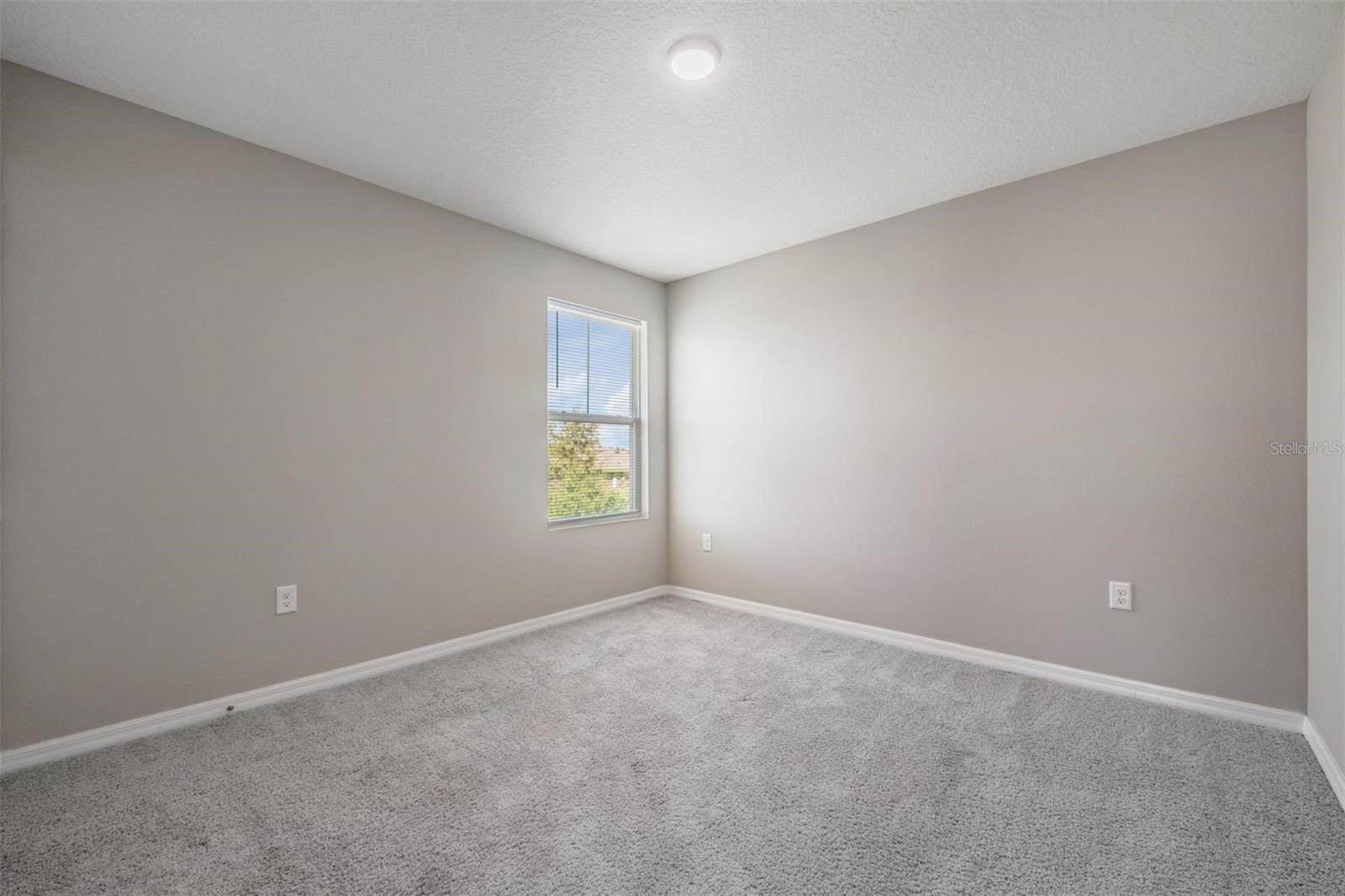 12857 TANNENCREST DR, RIVERVIEW, FL, 33579