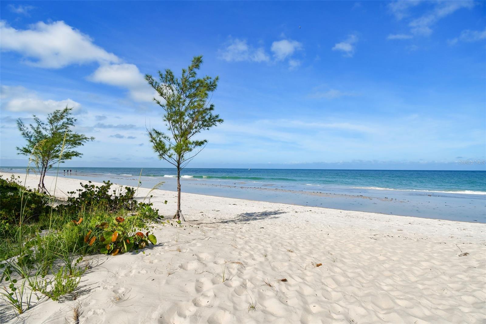 20204 GULF BLVD #3, INDIAN SHORES, FL, 33785