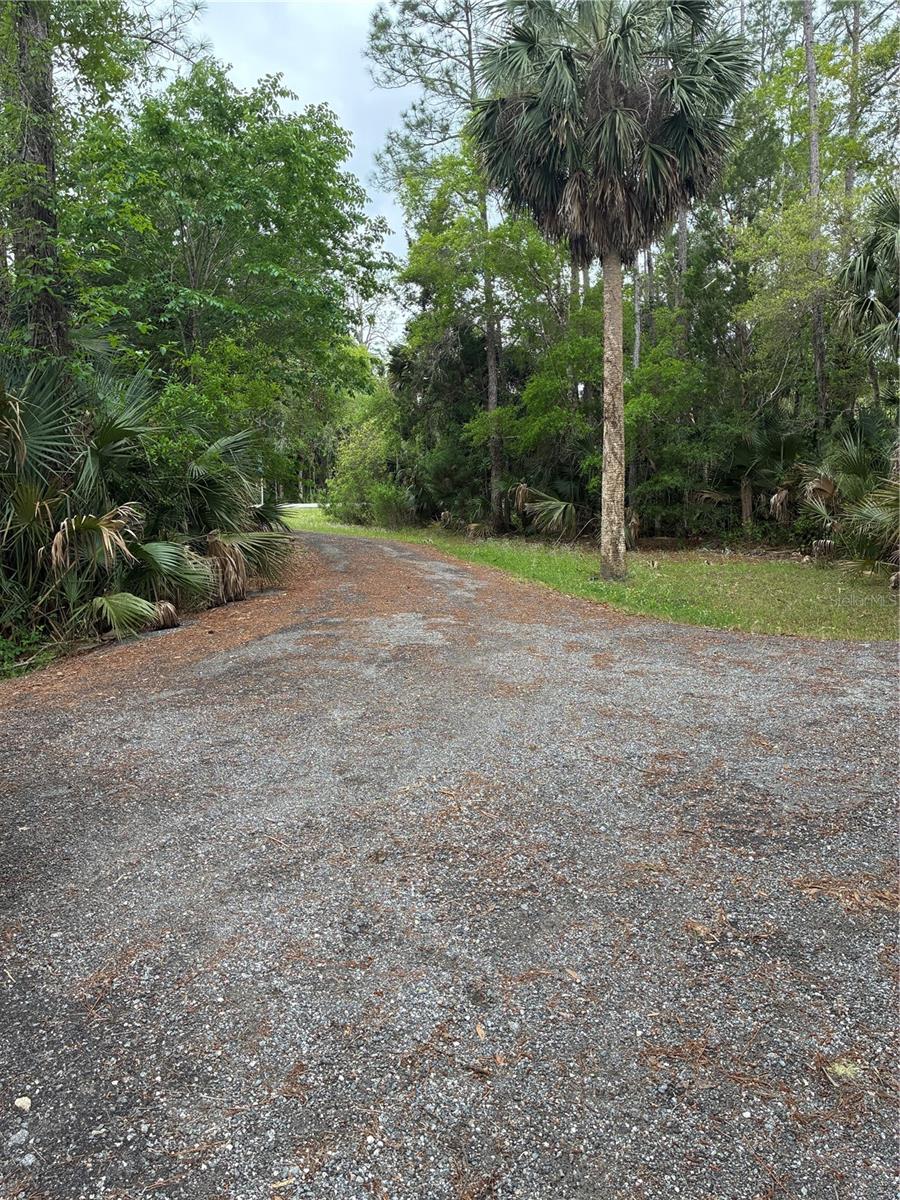 3150 W CR 2006, BUNNELL, FL, 32110