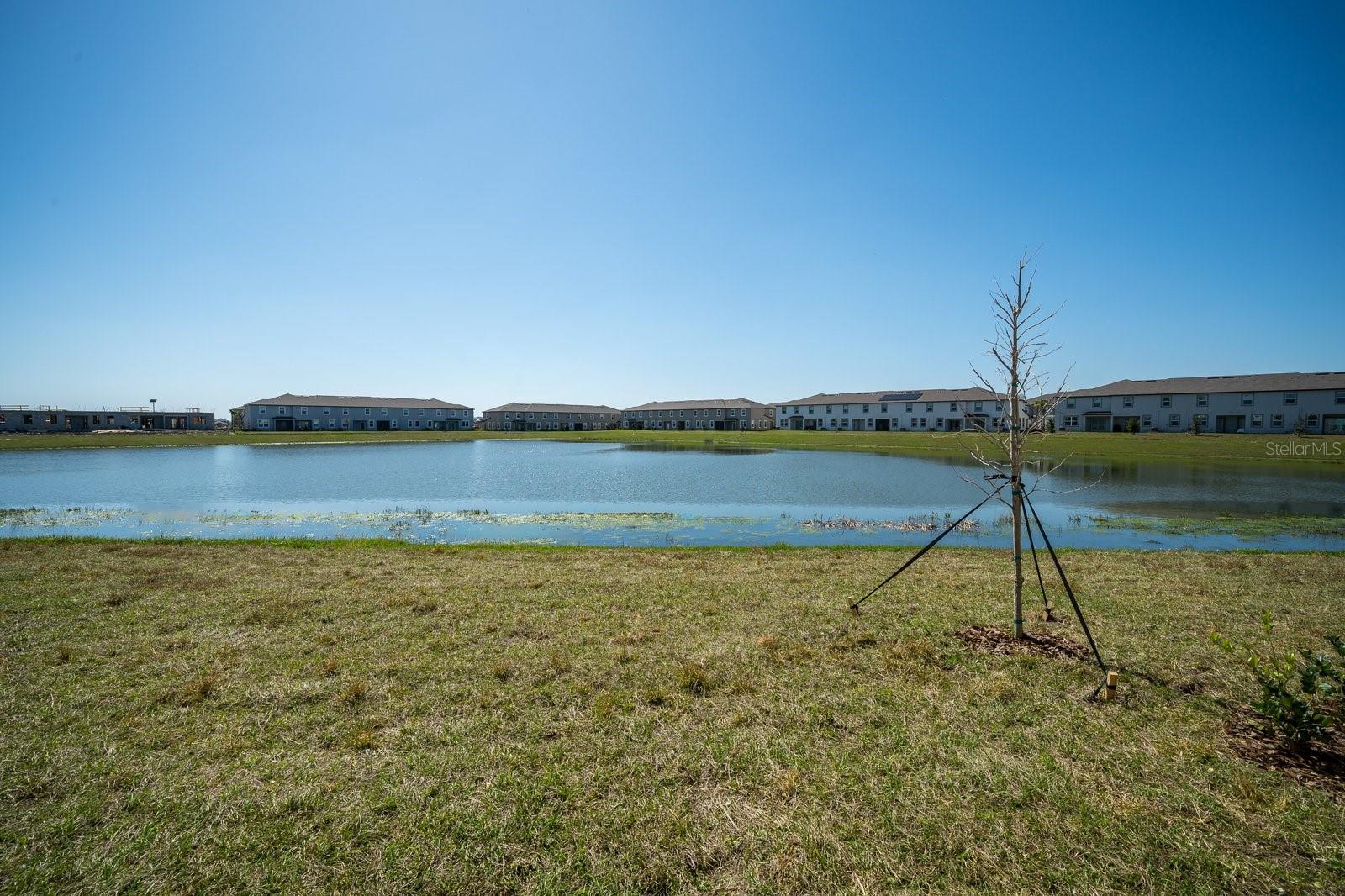 32134 POWDERPUFF MIMOSA DR, SAN ANTONIO, FL, 33576